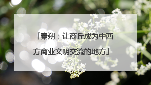 秦朔：让商丘成为中西方商业文明交流的地方
