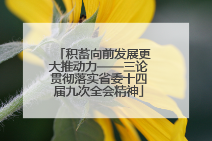 积蓄向前发展更大推动力——三论贯彻落实省委十四届九次全会精神