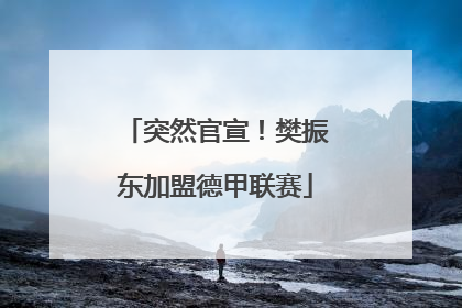 突然官宣！樊振东加盟德甲联赛