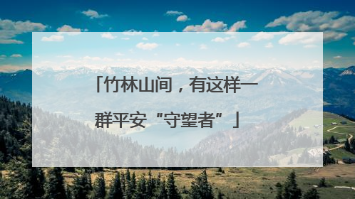 竹林山间，有这样一群平安“守望者”