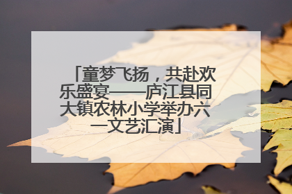 童梦飞扬，共赴欢乐盛宴——庐江县同大镇农林小学举办六一文艺汇演