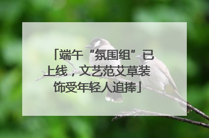 端午“氛围组”已上线，文艺范艾草装饰受年轻人追捧