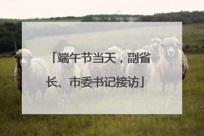 端午节当天，副省长、市委书记接访