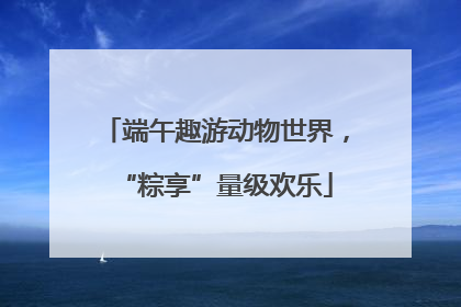端午趣游动物世界，“粽享”量级欢乐