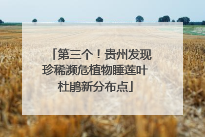 第三个！贵州发现珍稀濒危植物睡莲叶杜鹃新分布点