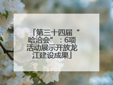 第三十四届“哈洽会”：6项活动展示开放龙江建设成果