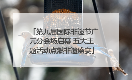 第九届国际非遗节广元分会场启幕 五大主题活动点燃非遗盛宴