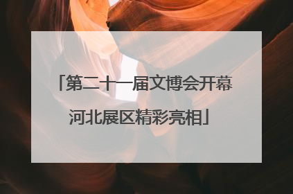 第二十一届文博会开幕 河北展区精彩亮相