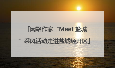 网络作家“Meet 盐城”采风活动走进盐城经开区