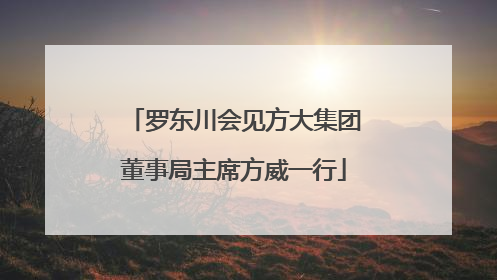 罗东川会见方大集团董事局主席方威一行
