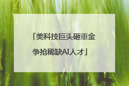 美科技巨头砸重金争抢稀缺AI人才