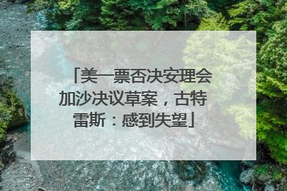 美一票否决安理会加沙决议草案，古特雷斯：感到失望