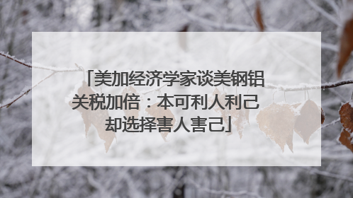 美加经济学家谈美钢铝关税加倍：本可利人利己 却选择害人害己