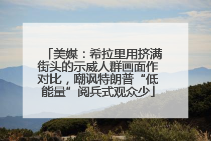 美媒：希拉里用挤满街头的示威人群画面作对比，嘲讽特朗普“低能量”阅兵式观众少