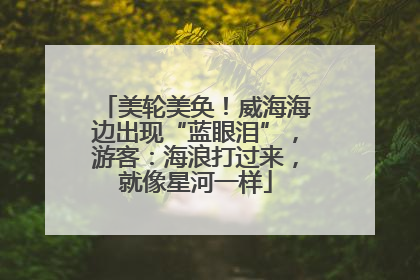 美轮美奂！威海海边出现“蓝眼泪”，游客：海浪打过来，就像星河一样