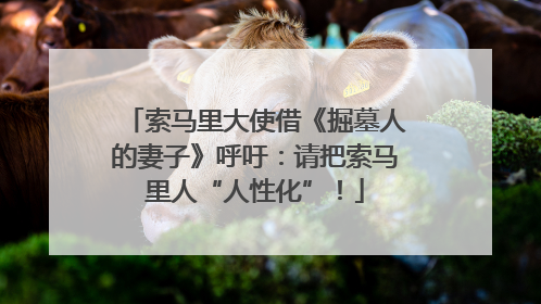 索马里大使借《掘墓人的妻子》呼吁：请把索马里人“人性化”！