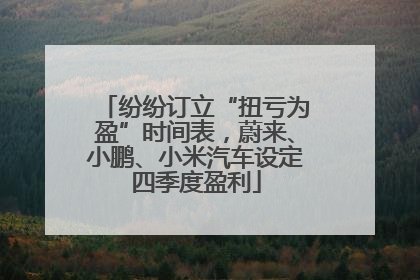 纷纷订立“扭亏为盈”时间表，蔚来、小鹏、小米汽车设定四季度盈利