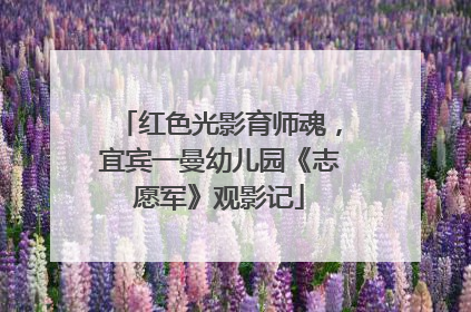 红色光影育师魂，宜宾一曼幼儿园《志愿军》观影记