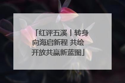 红评五溪丨转身向海启新程 共绘开放共赢新蓝图