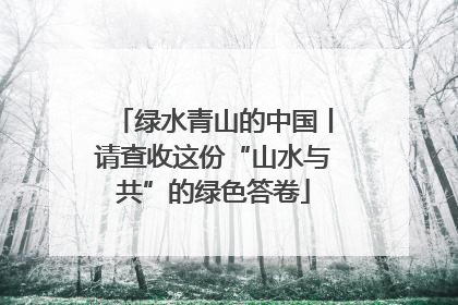 绿水青山的中国丨请查收这份“山水与共”的绿色答卷