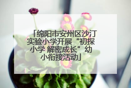 绵阳市安州区沙汀实验小学开展“初探小学 解密成长”幼小衔接活动