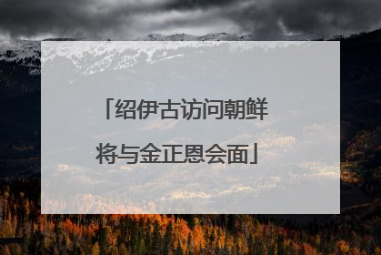 绍伊古访问朝鲜 将与金正恩会面