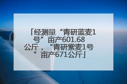 经测量“青研蓝麦1号”亩产601.68公斤，“青研紫麦1号”亩产671公斤