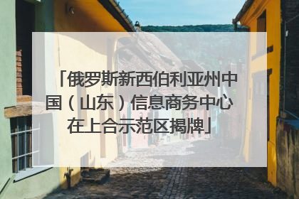 俄罗斯新西伯利亚州中国（山东）信息商务中心在上合示范区揭牌