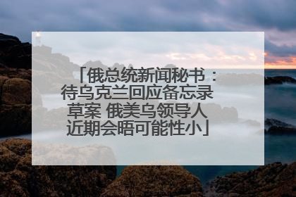 俄总统新闻秘书：待乌克兰回应备忘录草案 俄美乌领导人近期会晤可能性小