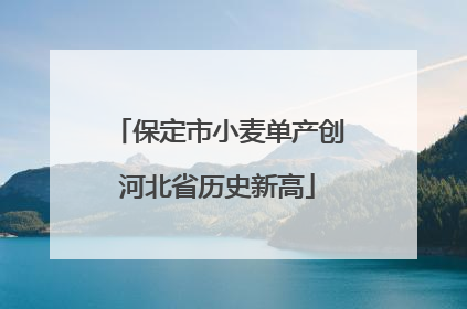 保定市小麦单产创河北省历史新高