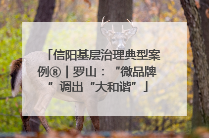 信阳基层治理典型案例⑧｜罗山：“微品牌”调出“大和谐”