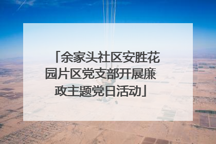 余家头社区安胜花园片区党支部开展廉政主题党日活动