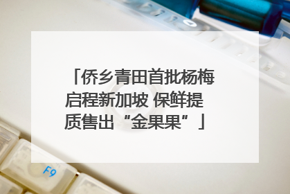 侨乡青田首批杨梅启程新加坡 保鲜提质售出“金果果”