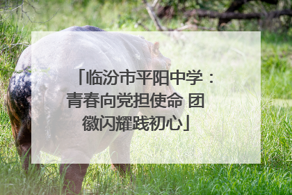 临汾市平阳中学：青春向党担使命 团徽闪耀践初心