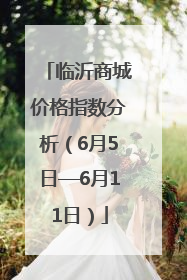 临沂商城价格指数分析（6月5日—6月11日）