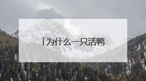 为什么一只活鸭上百元，一只烤鸭只要25元？
