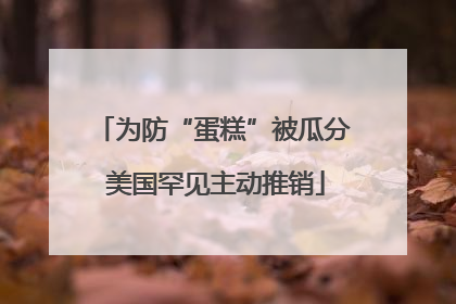 为防“蛋糕”被瓜分 美国罕见主动推销