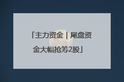 主力资金｜尾盘资金大幅抢筹2股