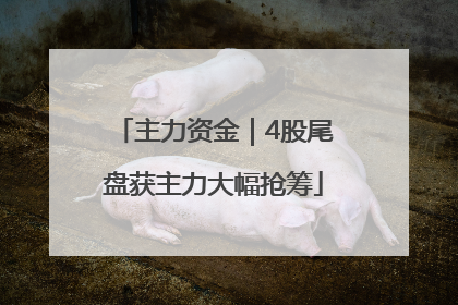 主力资金｜4股尾盘获主力大幅抢筹