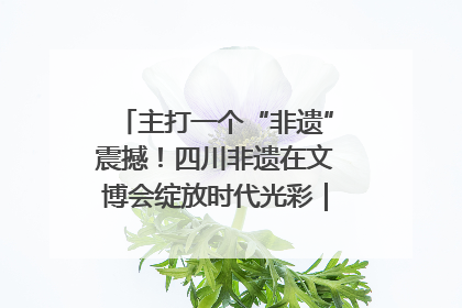 主打一个“非遗”震撼！四川非遗在文博会绽放时代光彩｜文博向“新”