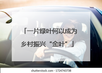 一片绿叶何以成为乡村振兴“金叶”