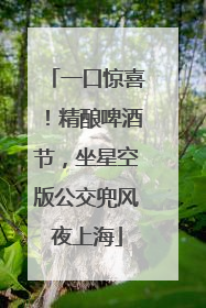 一口惊喜！精酿啤酒节，坐星空版公交兜风夜上海