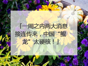 一周之内两大消息接连传来，中国“鲲龙”太硬核！