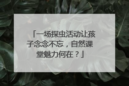 一场探虫活动让孩子念念不忘，自然课堂魅力何在？