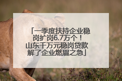 一季度扶持企业稳岗扩岗6.7万个！山东千万元稳岗贷款解了企业燃眉之急