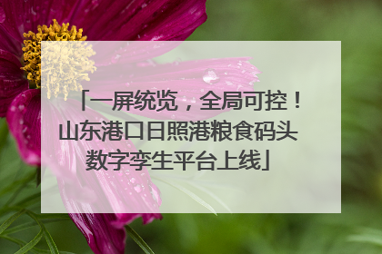一屏统览，全局可控！山东港口日照港粮食码头数字孪生平台上线