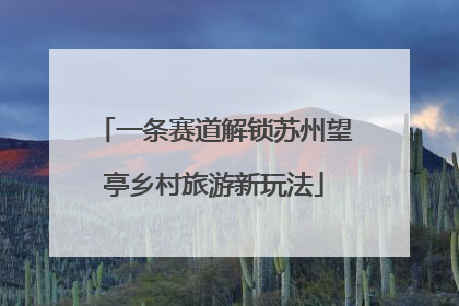 一条赛道解锁苏州望亭乡村旅游新玩法