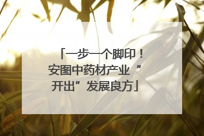 一步一个脚印！安图中药材产业“开出”发展良方