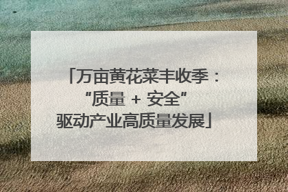 万亩黄花菜丰收季：“质量 + 安全” 驱动产业高质量发展