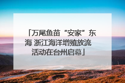 万尾鱼苗“安家”东海 浙江海洋增殖放流活动在台州启幕